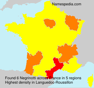 Surname Negrinotti in France Surname Negrinotti in France