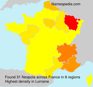 Nespola Nespola