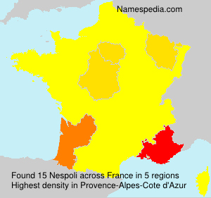 Surname Nespoli in France Surname Nespoli in France
