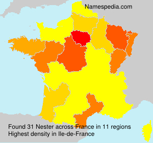 Nester Nester