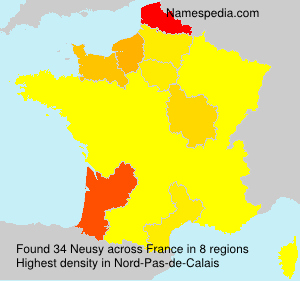 Neusy Neusy