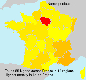 Surname Ngono in France