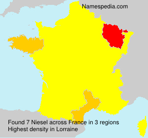 Surname Niesel in France Surname Niesel in France