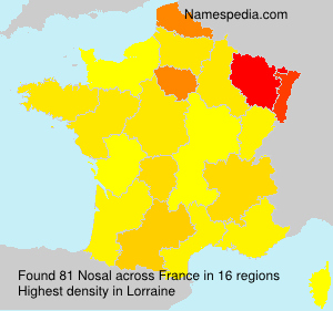 Surname Nosal in France Surname Nosal in France