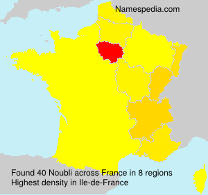 Surname Noubli in France