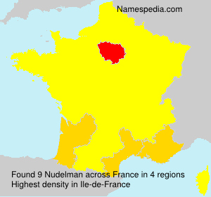 Surname Nudelman in France Surname Nudelman in France
