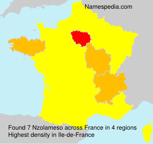 Surname Nzolameso in France Surname Nzolameso in France