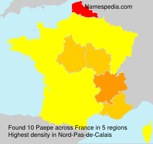 Surname Paepe in France