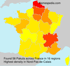 Surname Pakula in France Surname Pakula in France