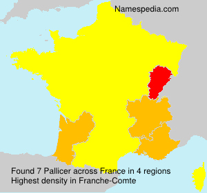 Surname Pallicer in France Surname Pallicer in France
