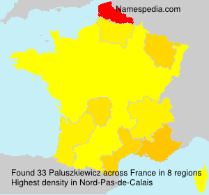 Surname Paluszkiewicz in France Surname Paluszkiewicz in France