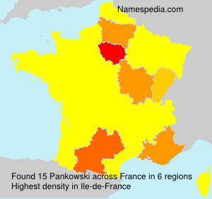 Surname Pankowski in France Surname Pankowski in France