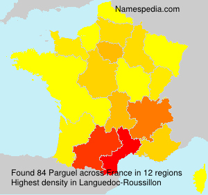 Surname Parguel in France