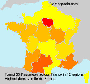Surname Passereau in France Surname Passereau in France