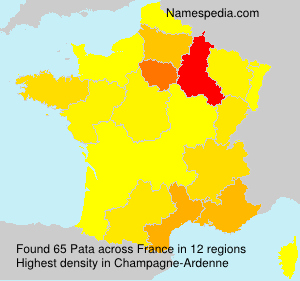 Surname Pata in France Surname Pata in France