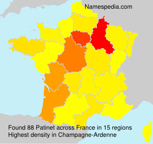 Surname Patinet in France Surname Patinet in France