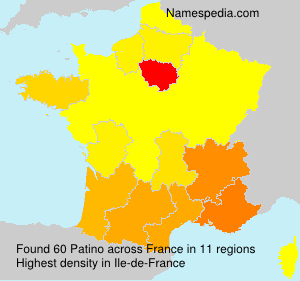 Surname Patino in France Surname Patino in France