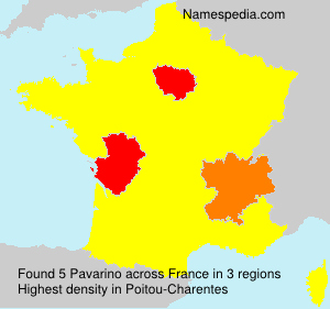 Surname Pavarino in France Surname Pavarino in France
