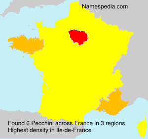 Surname Pecchini in France Surname Pecchini in France