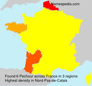 Surname Pechour in France Surname Pechour in France