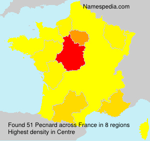 Surname Pecnard in France Surname Pecnard in France
