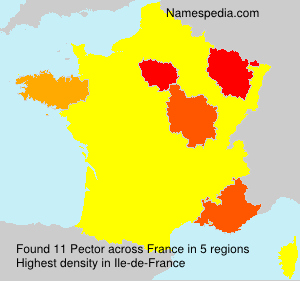 Surname Pector in France Surname Pector in France