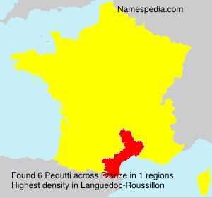 Surname Pedutti in France