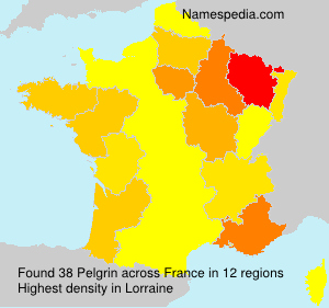 Surname Pelgrin in France Surname Pelgrin in France
