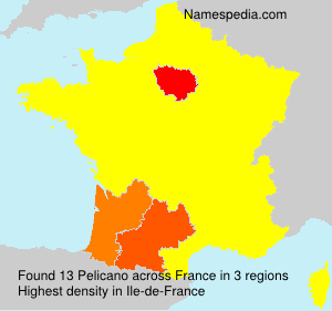 Surname Pelicano in France