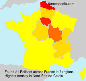 Surname Pelisset in France Surname Pelisset in France