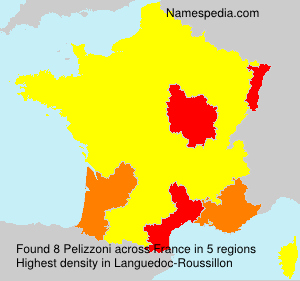 Surname Pelizzoni in France Surname Pelizzoni in France