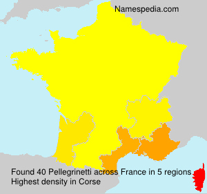 Surname Pellegrinetti in France Surname Pellegrinetti in France