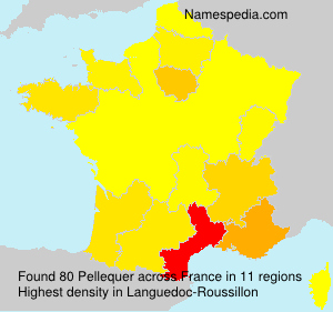 Surname Pellequer in France Surname Pellequer in France