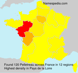 Surname Pelletreau in France Surname Pelletreau in France