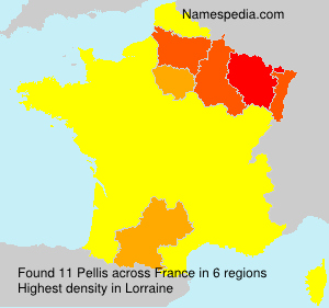 Surname Pellis in France Surname Pellis in France