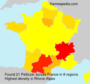 Surname Pellizzer in France Surname Pellizzer in France