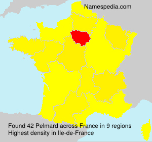 Surname Pelmard in France Surname Pelmard in France
