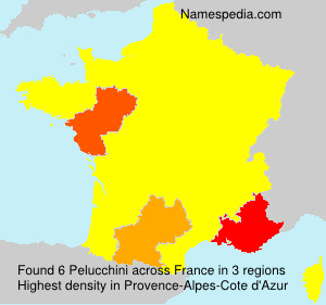 Surname Pelucchini in France Surname Pelucchini in France