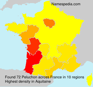 Surname Peluchon in France Surname Peluchon in France