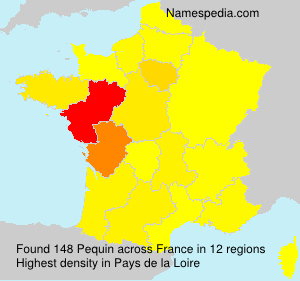 Surname Pequin in France Surname Pequin in France