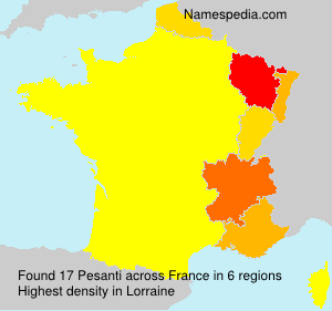 Surname Pesanti in France Surname Pesanti in France