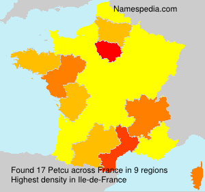 Surname Petcu in France Surname Petcu in France