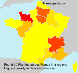 Piantino Piantino