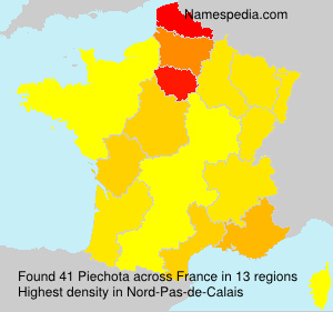 Surname Piechota in France