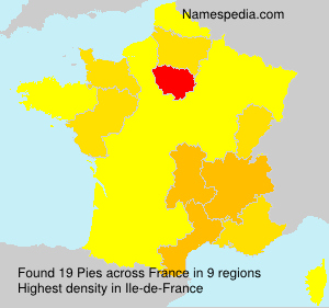 Pies Pies