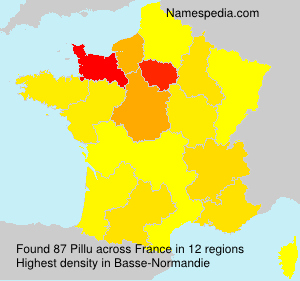 Surname Pillu in France Surname Pillu in France