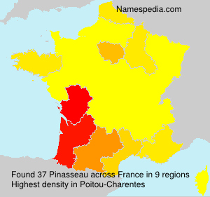 Pinasseau Pinasseau