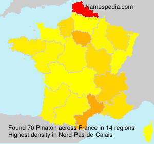 Surname Pinaton in France Surname Pinaton in France
