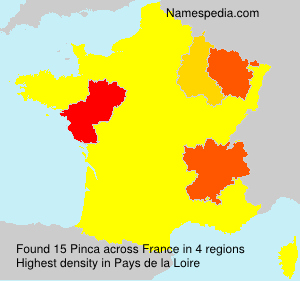 Pinca Pinca