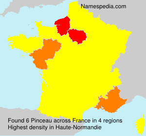 Surname Pinceau in France Surname Pinceau in France
